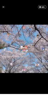 アイコン