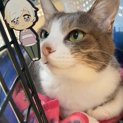 アイコン