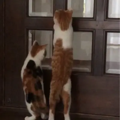 アイコン