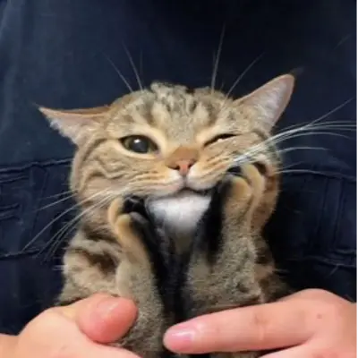 アイコン