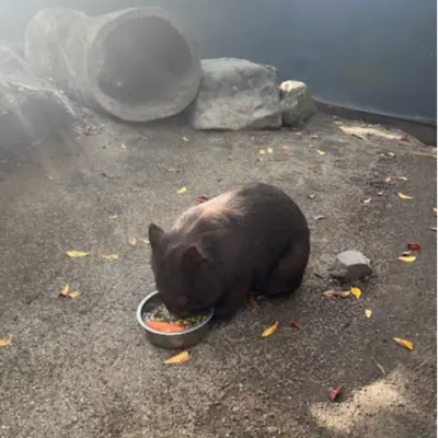 アイコン