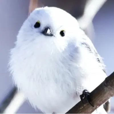 アイコン