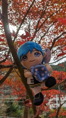 アイコン